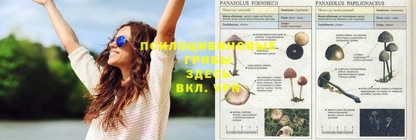 таблы Майский