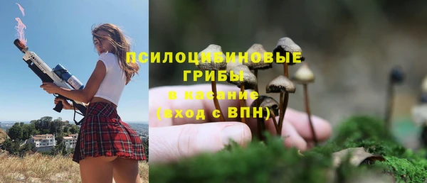 прущие крисы Магас