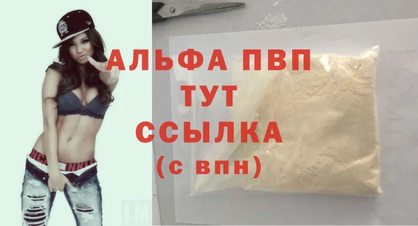прущие крисы Магас