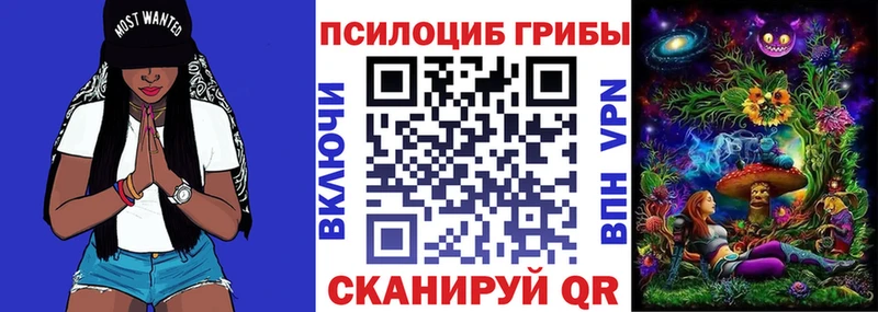 Купить где  Феодосия  Псилоцибиновые грибы прущие грибы 